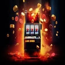 55 bet